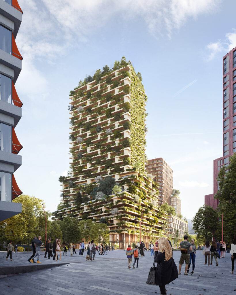 Toren Wonderwoods