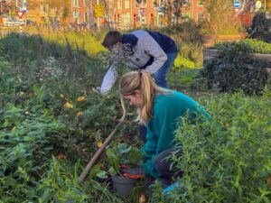 Bewoners halen het groen weg van het Westplein